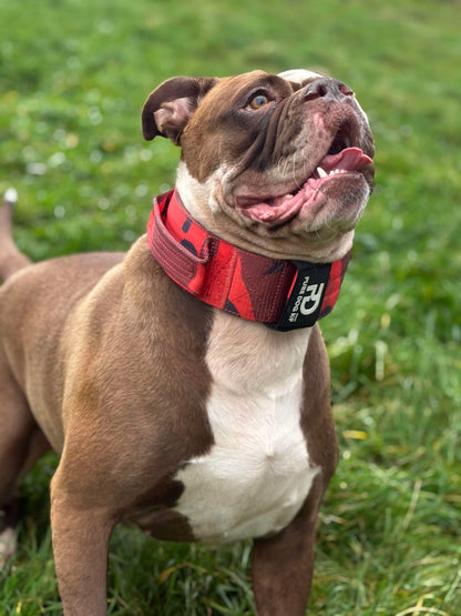 7cm Sport Collar Red Camo