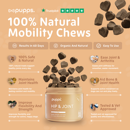 Hip & Joint Treats